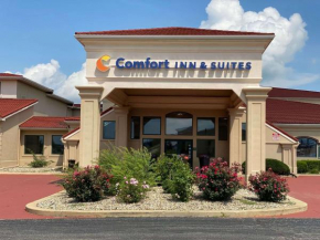 Гостиница Comfort Inn & Suites at I-74 and 155  Мортон